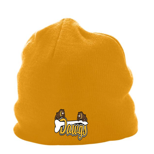 Pittsburgh Diamond Dawgs - Gold Beanie Logo 2