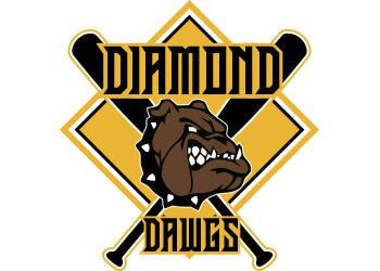 Home | Pittsburgh Diamond Dawgs